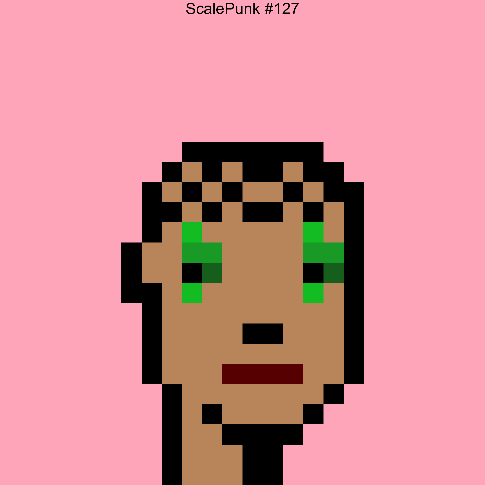 Punk 127