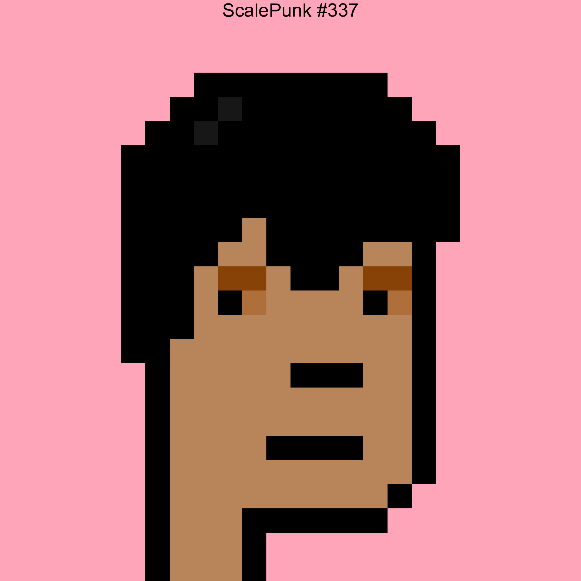 Punk 337