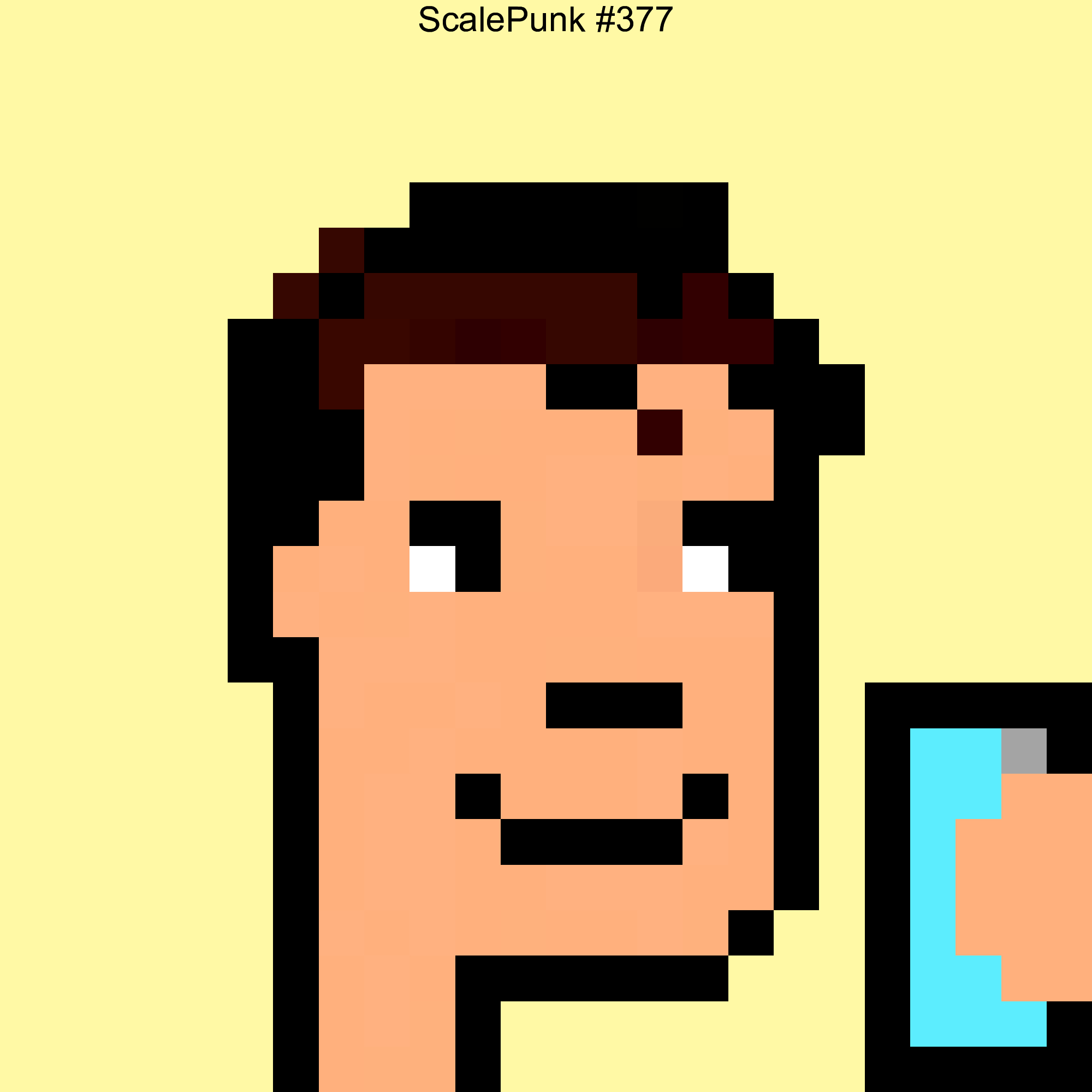 Punk 377