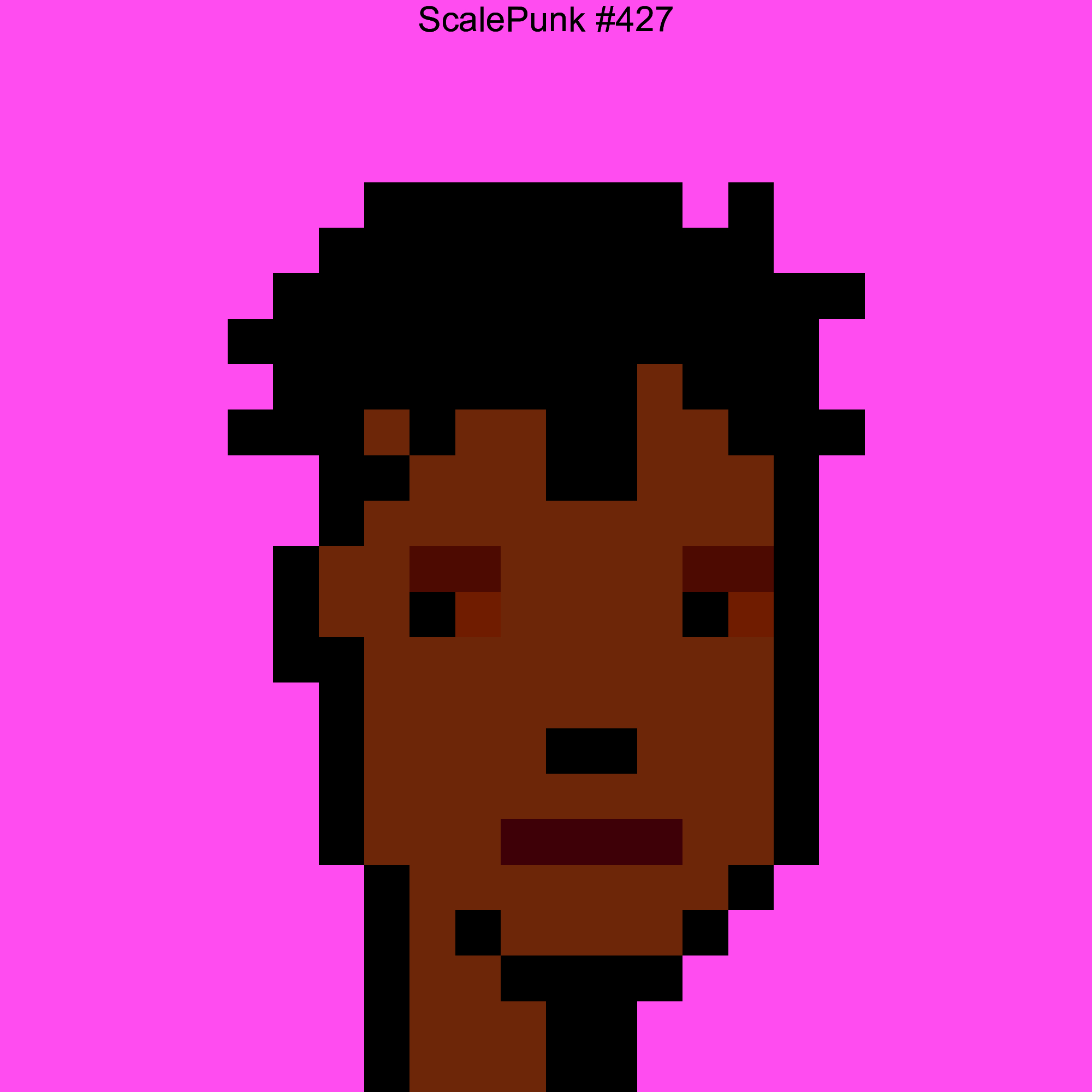 Punk 427