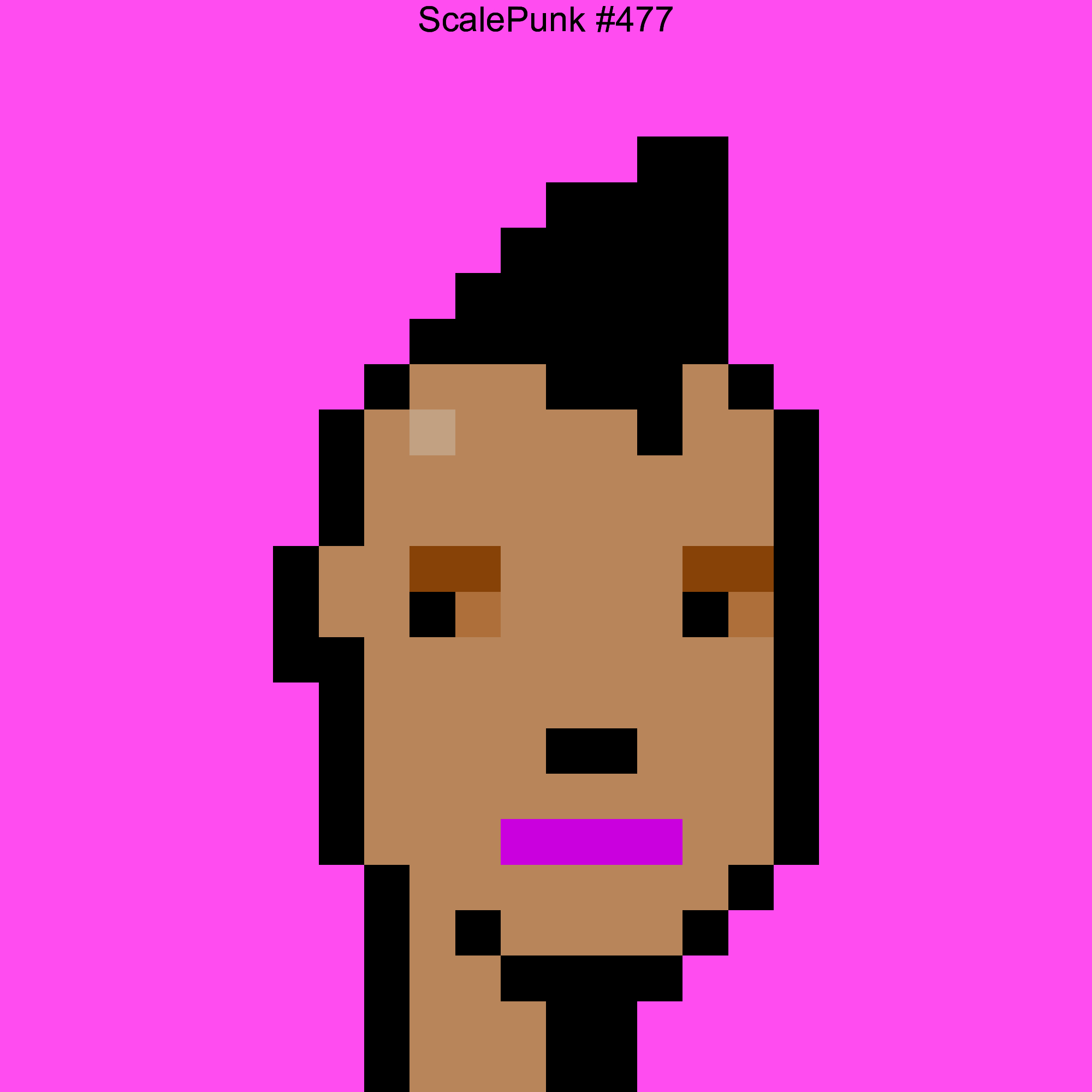 Punk 477