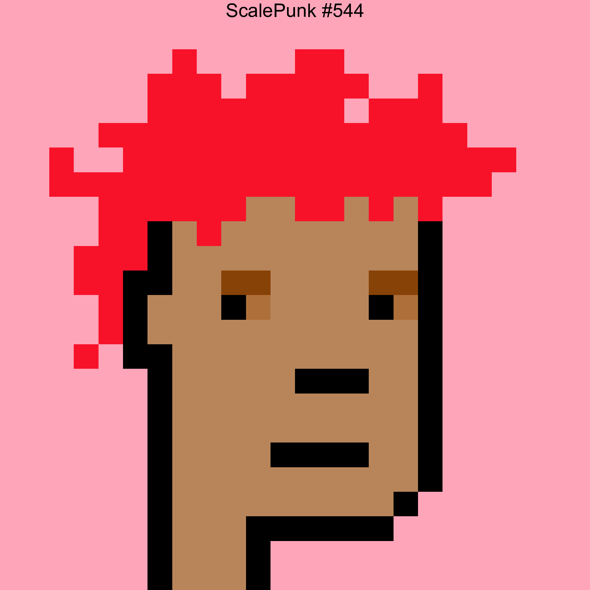 Punk 544