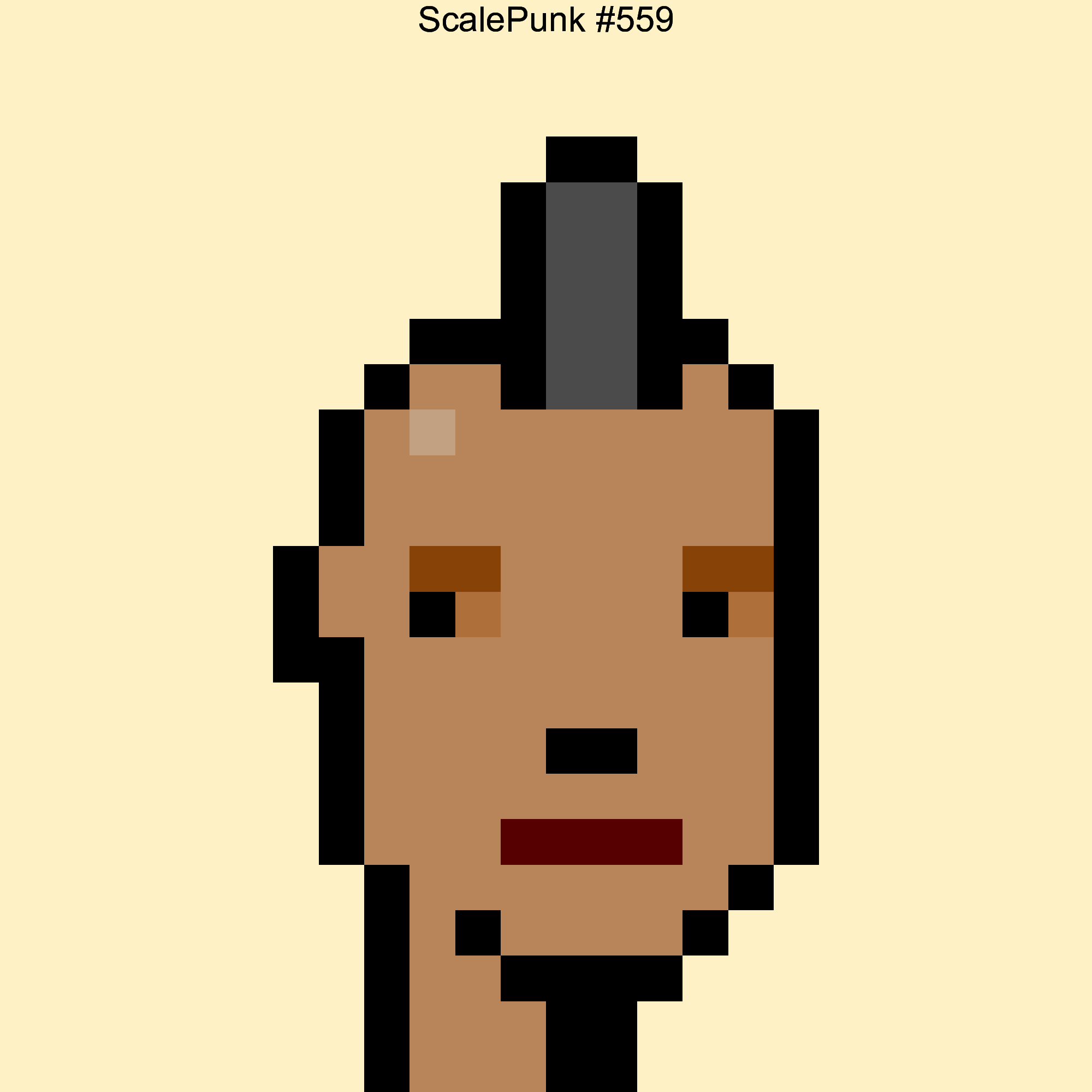 Punk 559