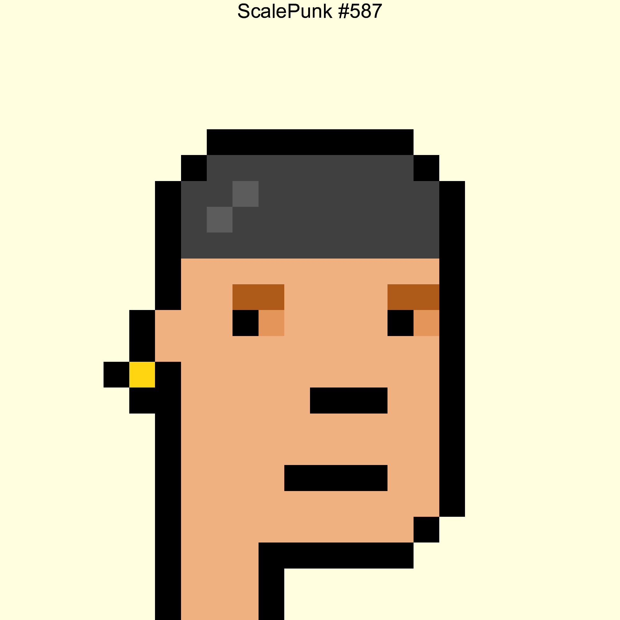 Punk 587