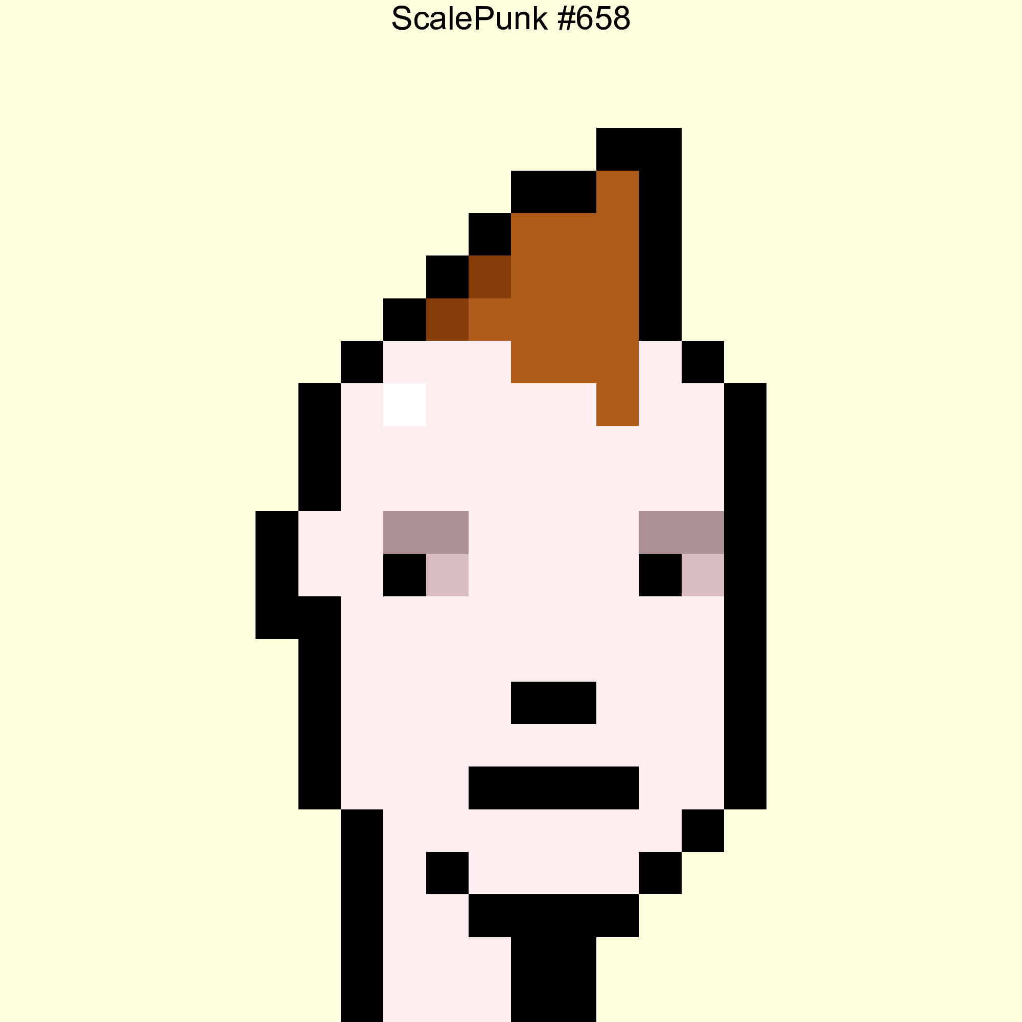 Punk 658