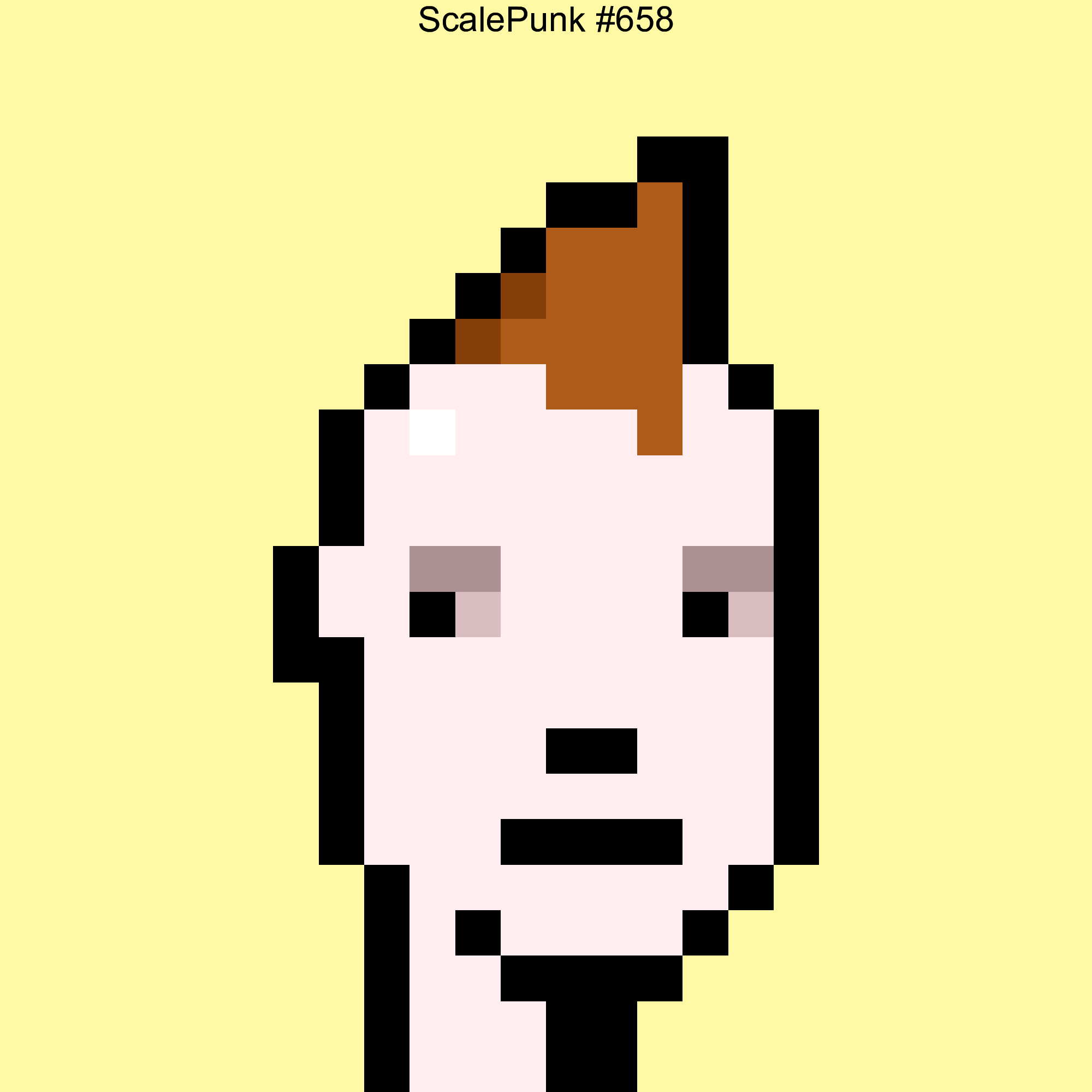 Punk 658