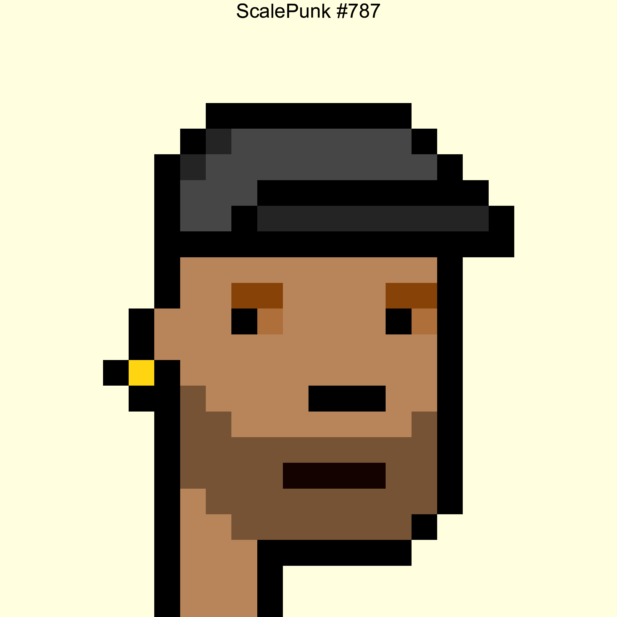 Punk 787