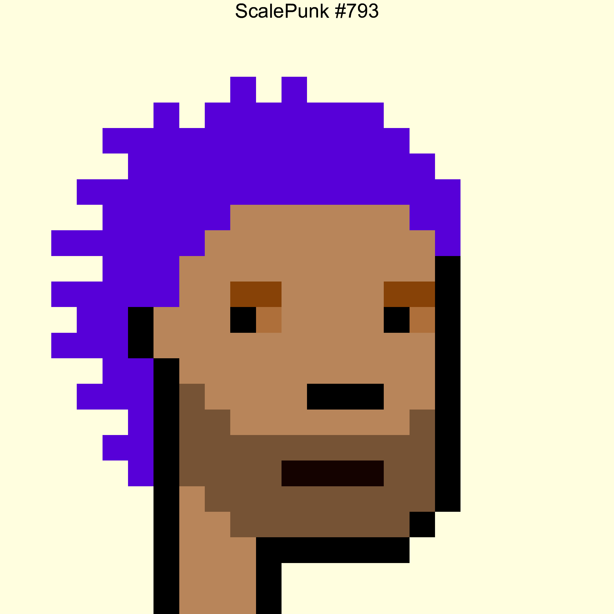 Punk 793