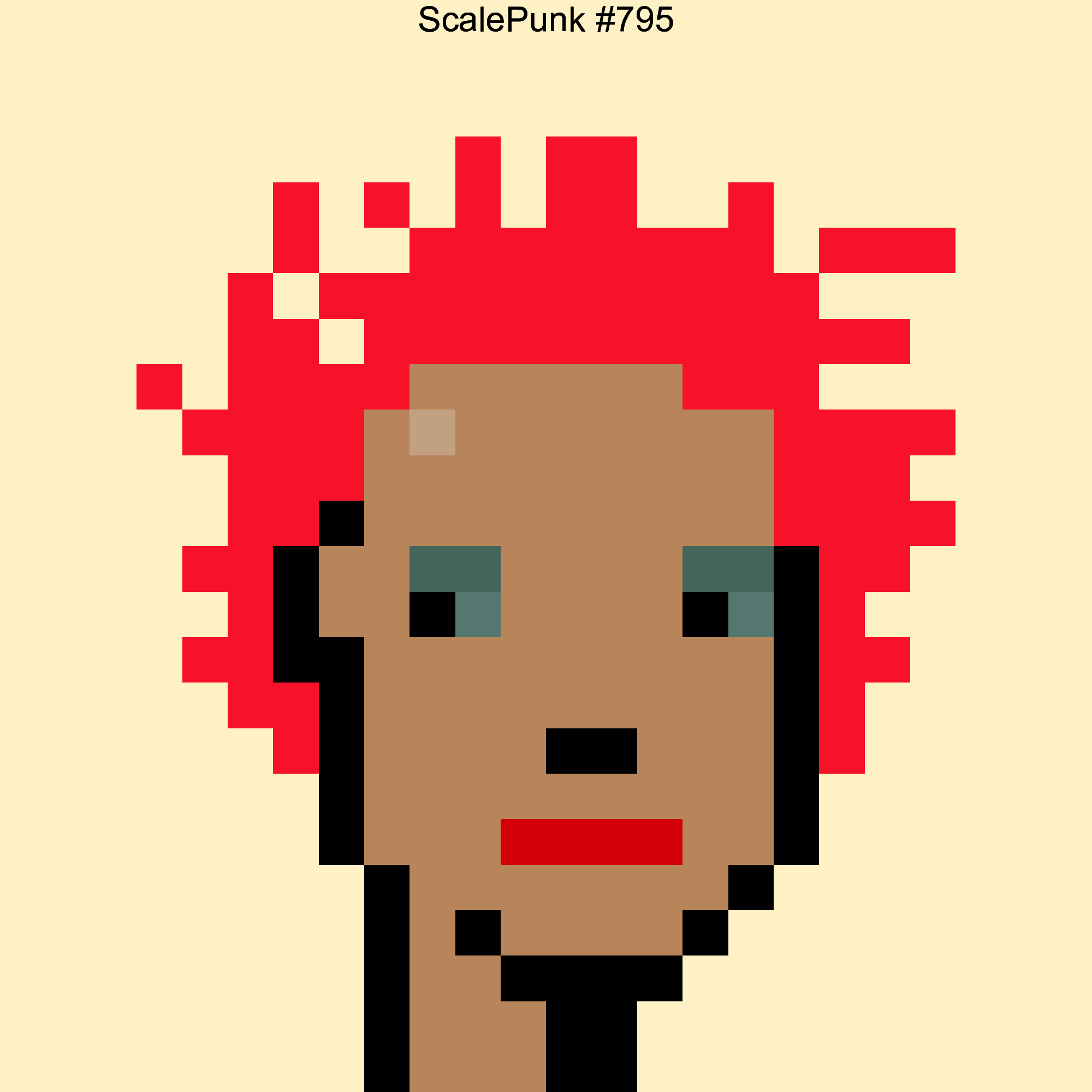 Punk 795