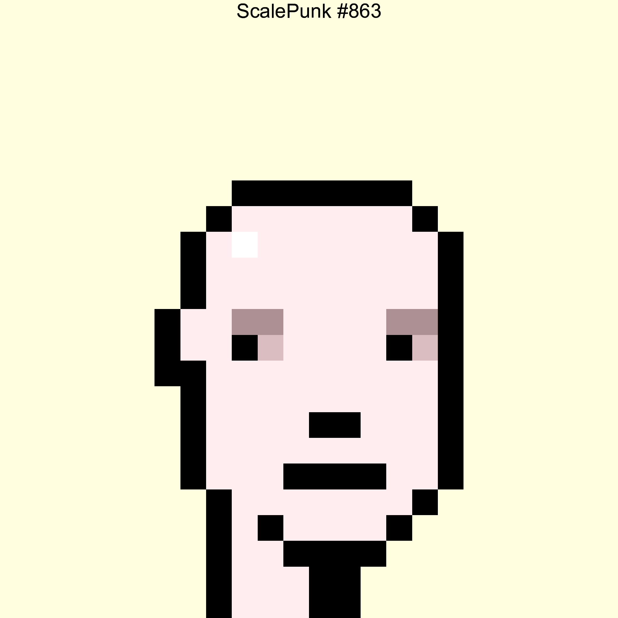 Punk 863