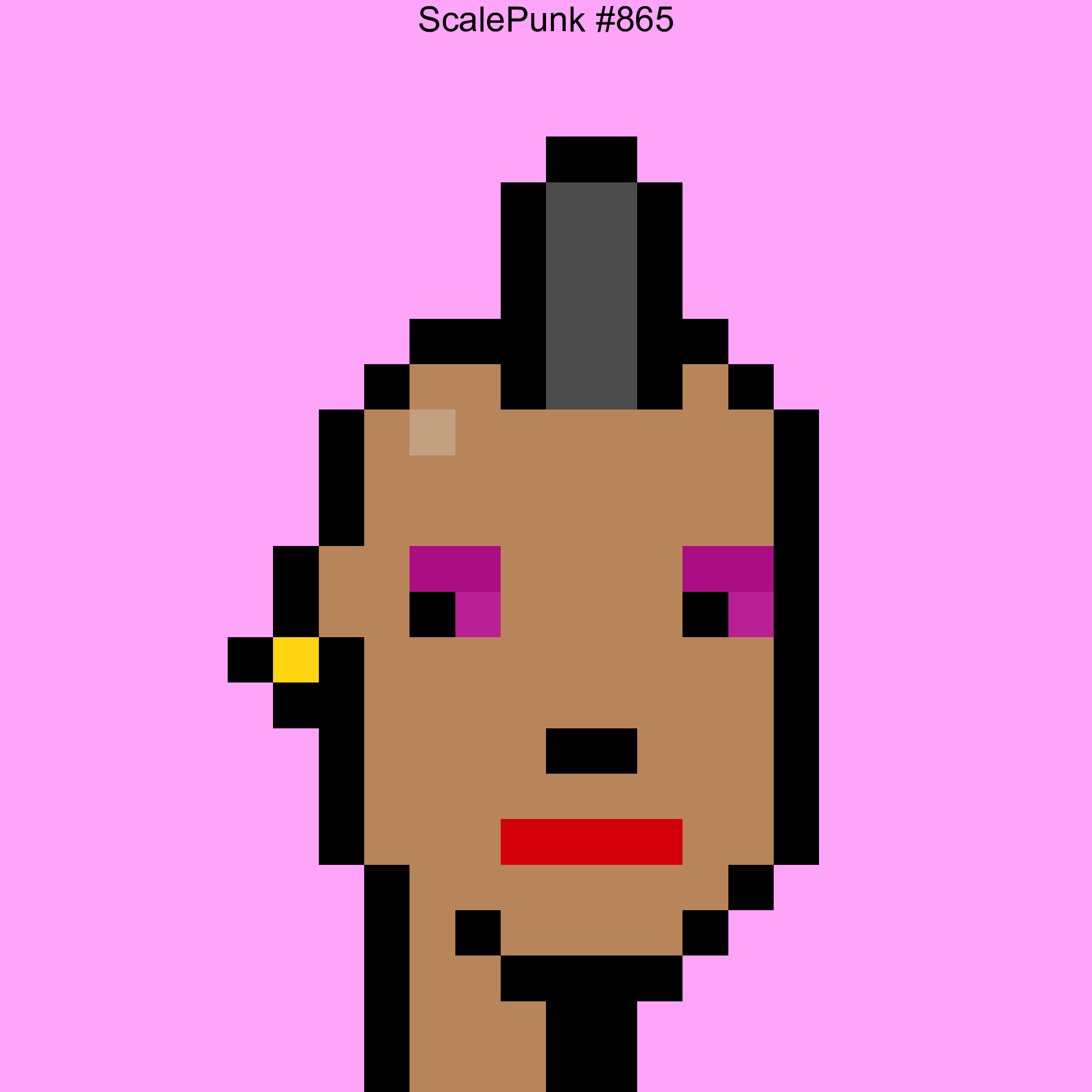 Punk 865