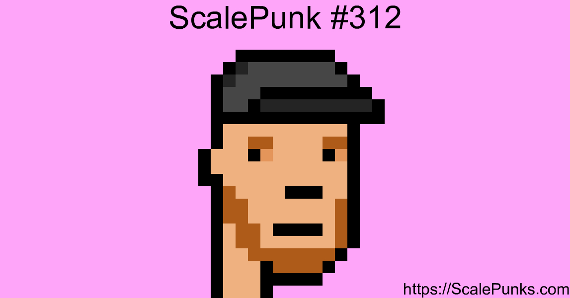 ScalePunk #312