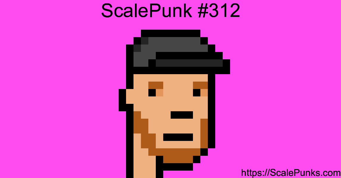 ScalePunk #312